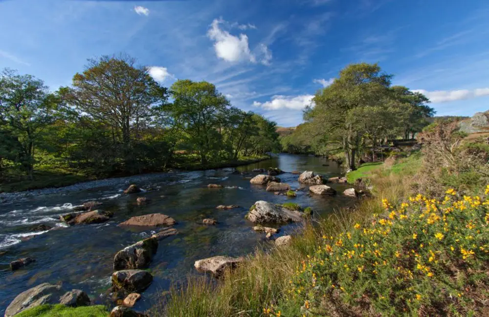 River Rock Landscaping Ideas